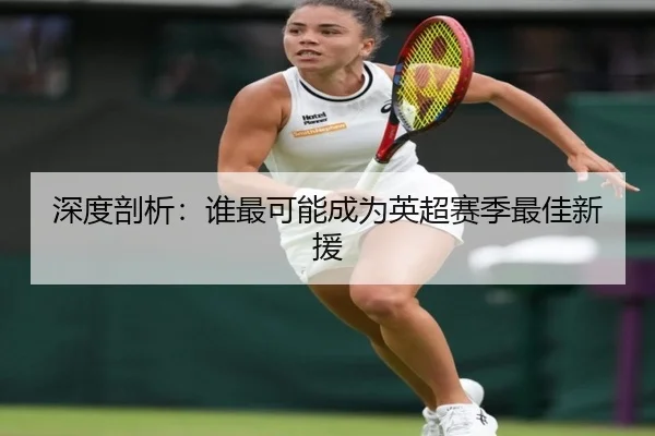 深度剖析：谁最可能成为英超赛季最佳新援